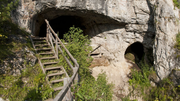 Entrance to Denisova Cave in southern Siberia, where finger bone and teeth were found.