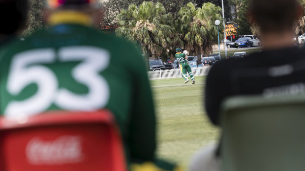 David Warner returns to grade cricket at Coogee.