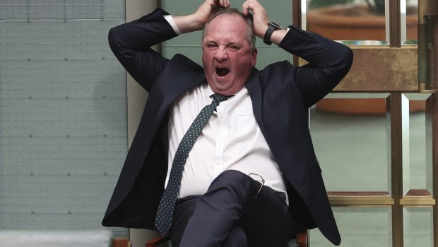 Barnaby Joyce in Parliament in February.