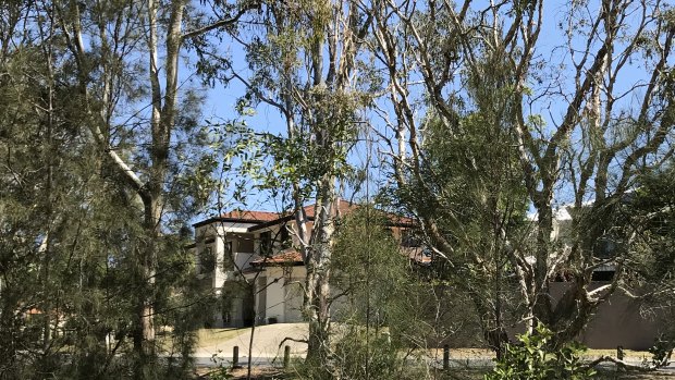 Redland Council is concerned about the decision not to include some known koala habitat adjacent to residential estates.