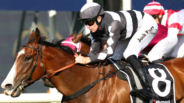 Disneck enters Saturday’s Randwick meeting in strong form.
