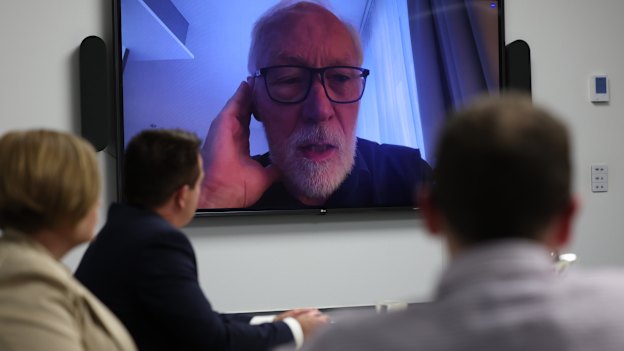 “They didn’t seem to be able to think about other health consequences and mental health was absolutely the top one,” professor Patrick McGorry told the panel.