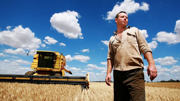  Andrew Broad entered Parliament in 2013 but will leave his regional Victorian seat in disgrace.