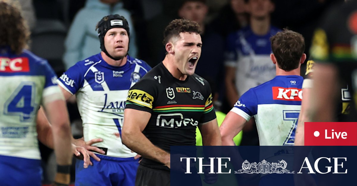 Panthers vs Bulldogs: Scores, Odds & How to Watch 2024