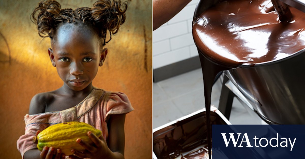 The Australian artisans calling for greater transparency around chocolate. - Vimarsana News