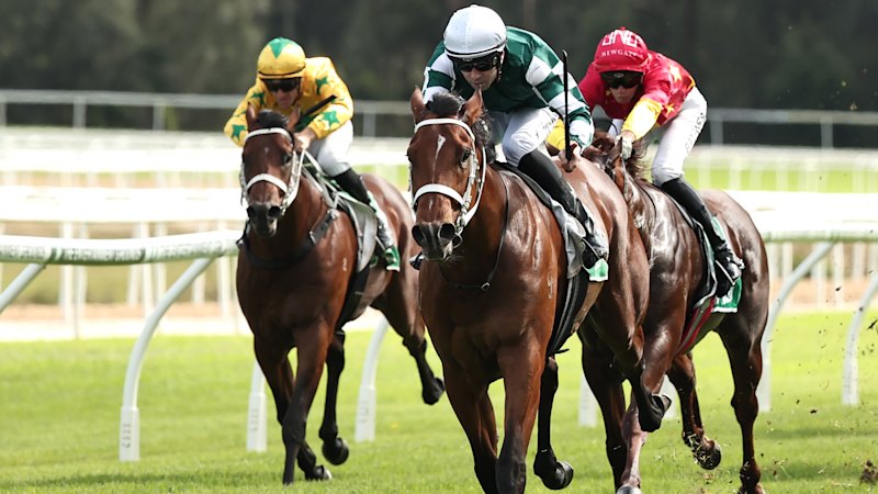 Race-by-race preview and tips for Gosford on Sunday
