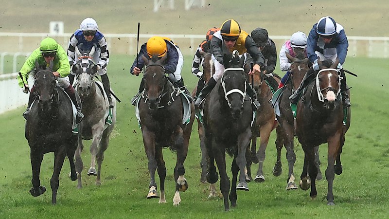 Race-by-race preview and tips for Muswellbrook on Sunday