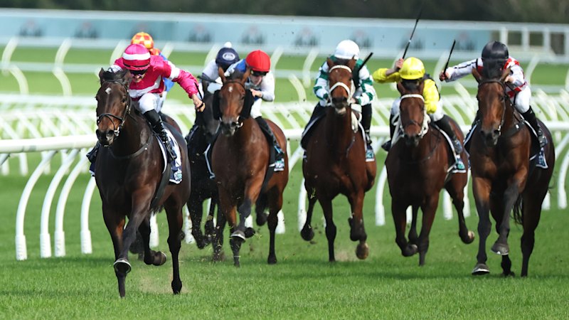 Local stable out to cash in at Coffs with four contenders