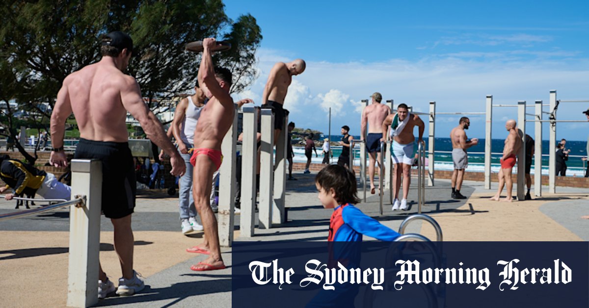 Sydney to bask in spring sunshine, but more wet weather on the way