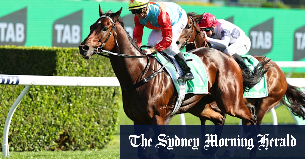 ‘Oh, yeah’: Hayes savours moment after Ka Ying Rising conquers Everest