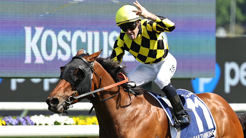 Clear danger: Messara admits Kosciuszko winner vulnerable at Muswellbrook