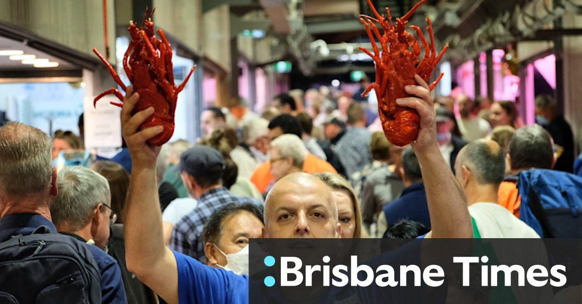 Christmas shopping flurry underway as seafood draws the crowds - Vimarsana News