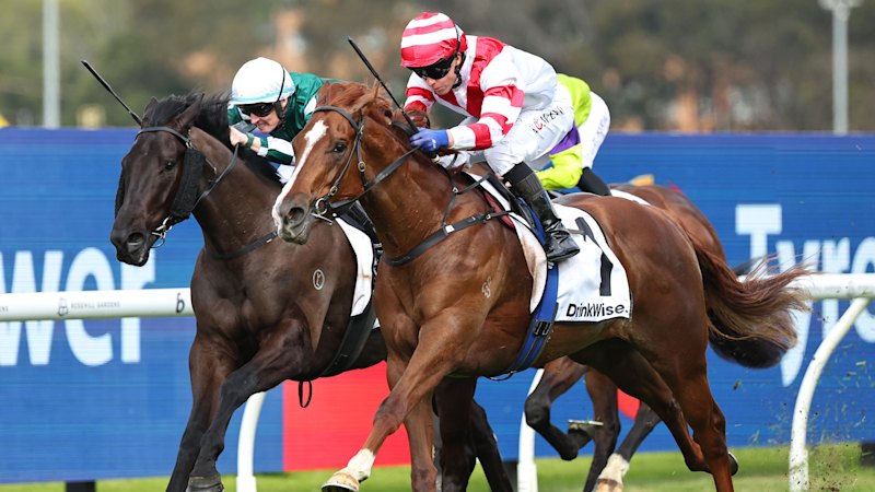 Photo for Race-by-race tips and previews for racing at Rosehill on Saturday
