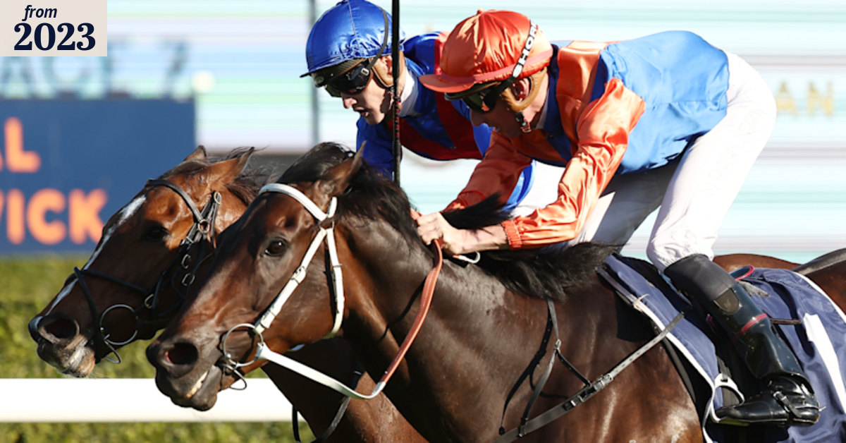 King Charles Stakes 2023: Think It Over’s trainer Kerry Parker brushes ...