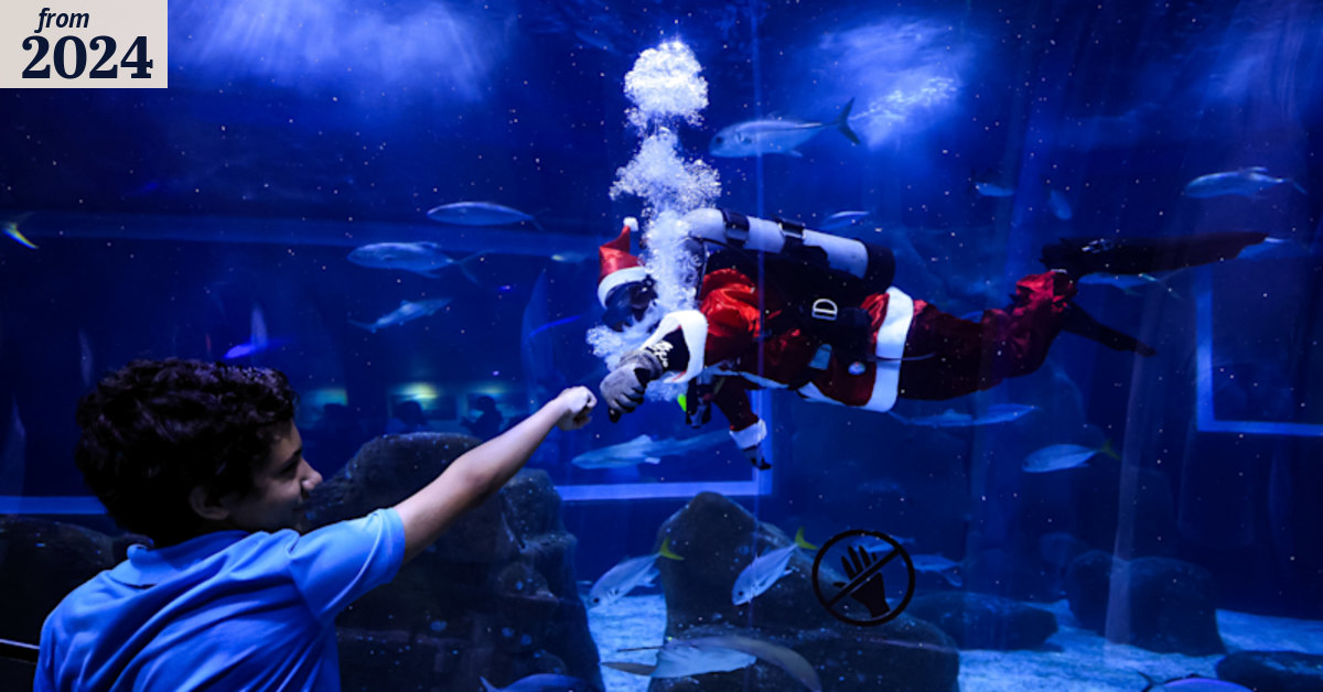 World of photos, December 23, 2024