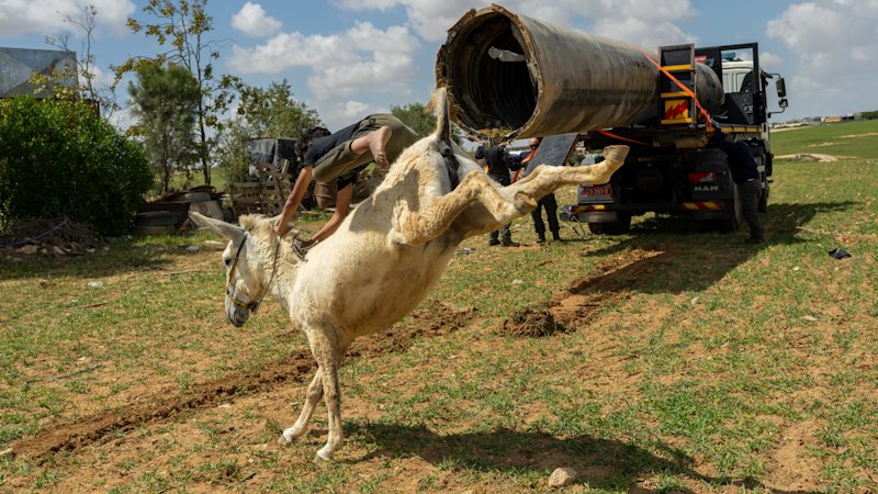 World in pictures, April 1, 2026