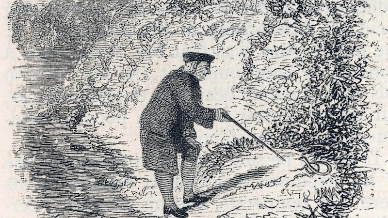 Love nature writing?  Meet Gilbert White, the man who pioneered it