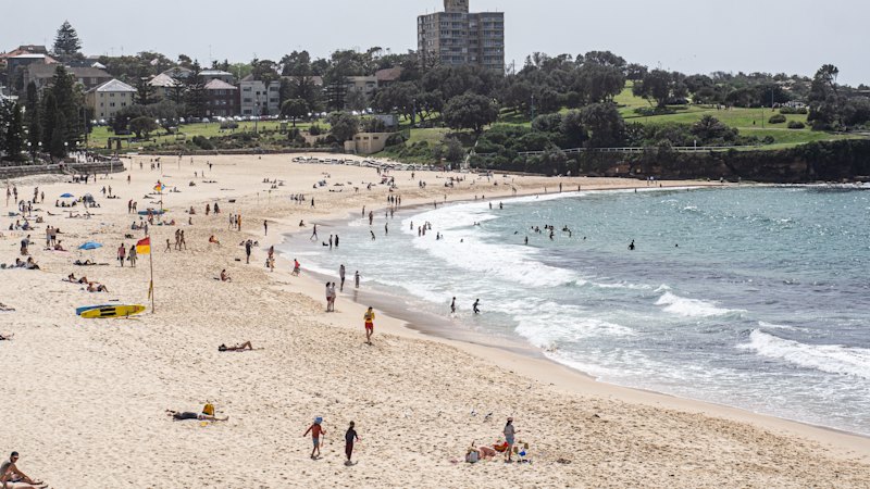 Sydney suburbs where home values just dropped $300,000
