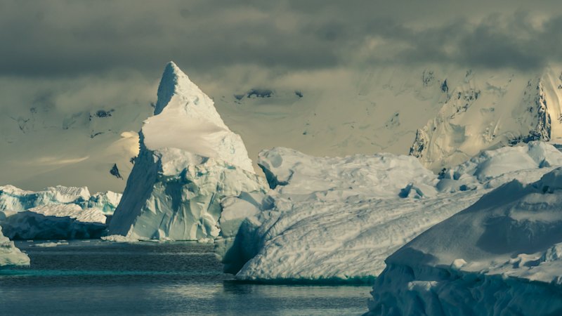 Would you dive into the freezing waters of the Antarctic? Meet the people who do it for fun