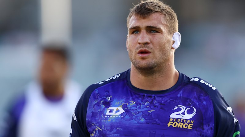 Impeccable pedigree, but Nick Champion de Crespigny will bring mongrel against Lions