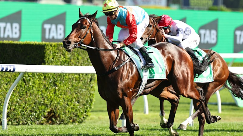 ‘Oh, yeah’: Hayes savours moment after Ka Ying Rising conquers Everest