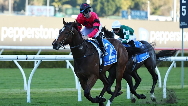 Ninja makes claim for Everest slot with slashing Missile Stakes win