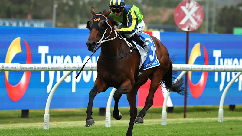 Race-by-race tips and details for Randwick on Saturday