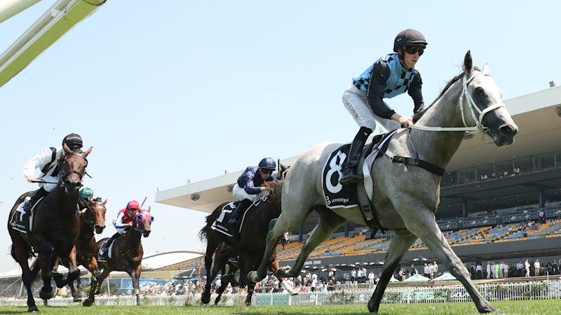 Waller’s nerves eased as $1.7m colt rockets into Slipper frame