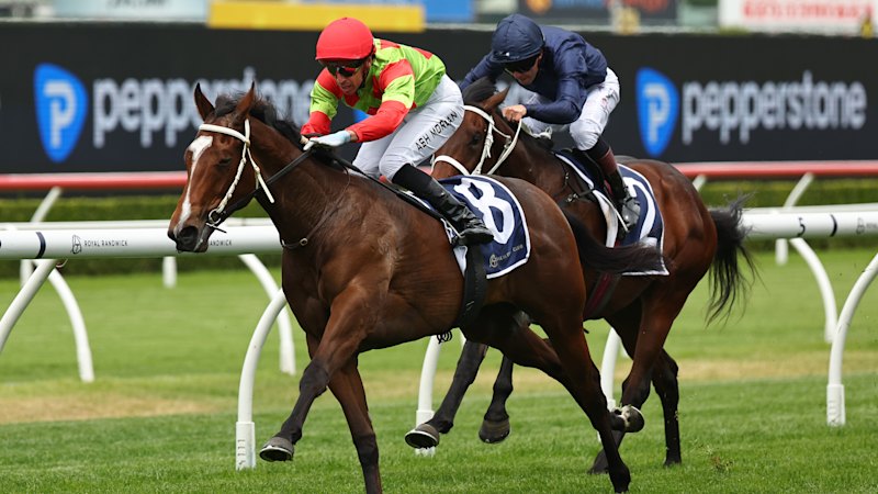 Freedman eyes another welcomed addition to Randwick operation