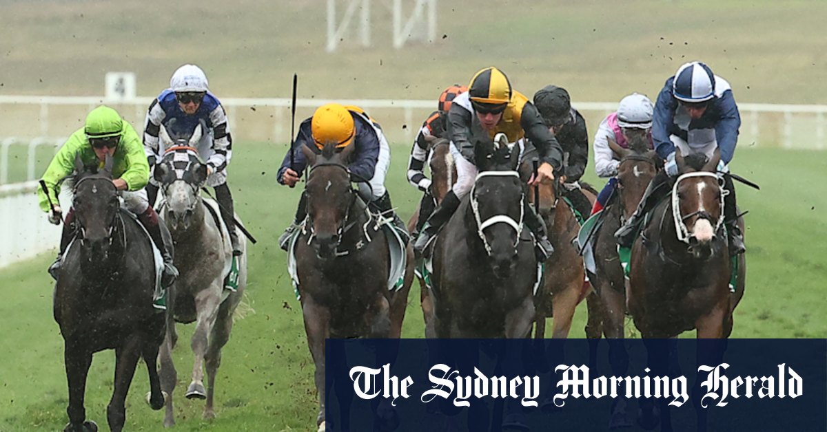 Soft Scone track set to suit promising local filly Pindorama