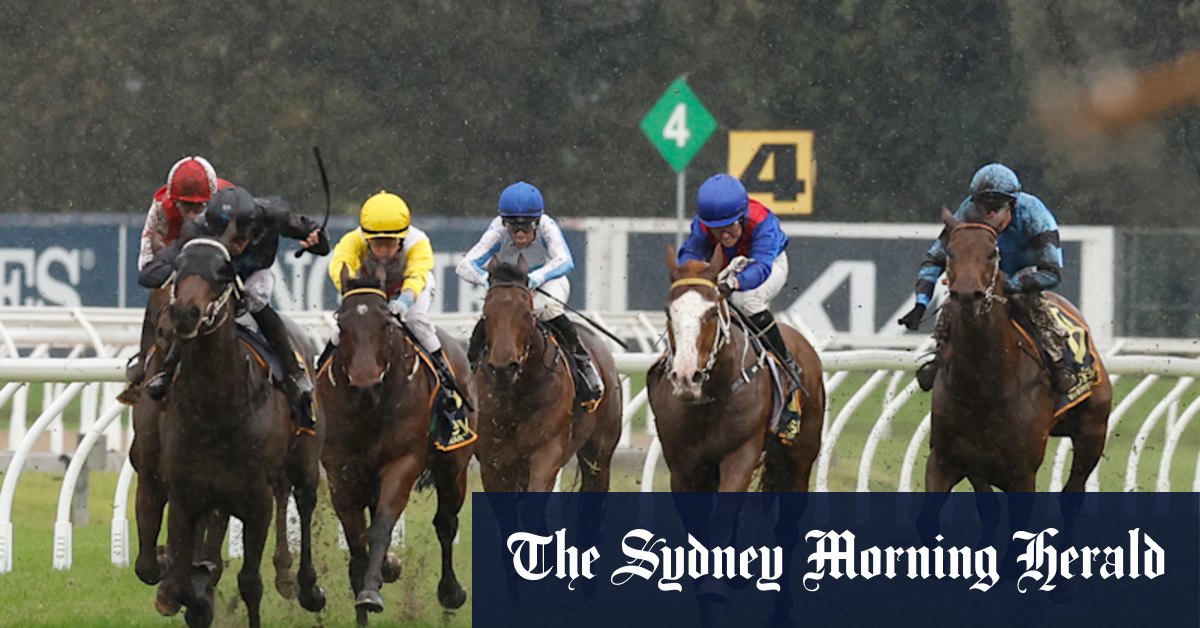 Race-by-race preview and tips for Forbes on Sunday