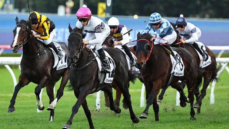 Tips and previews for racing at Rosehill on Saturday