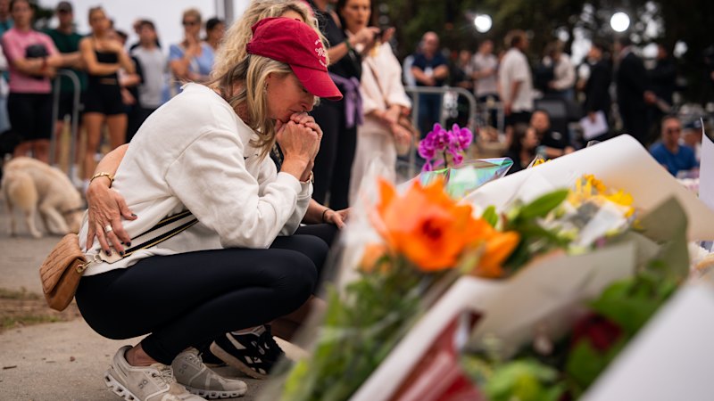 Liberals must not continue to fray around gun law reforms