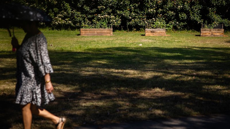 A Sydney community grew vegetable gardens. The council says they’re illegal