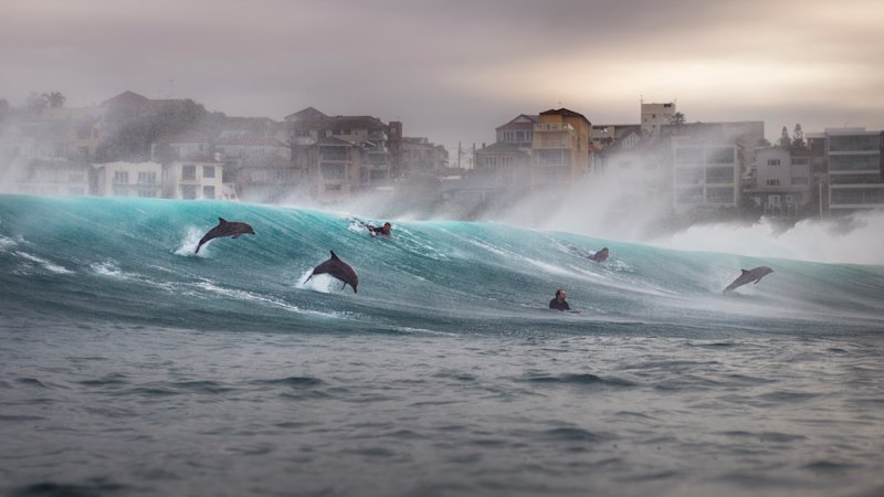 Sydney photographer wins international award for shot at Tamarama beach