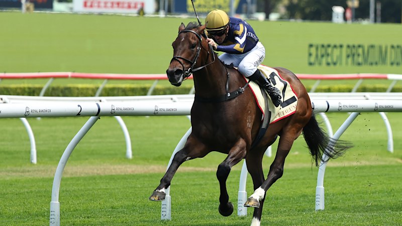 Tips and previews for racing at Randwick on Saturday