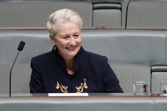 Kerryn Phelps in 2018 during her stint as a federal MP.