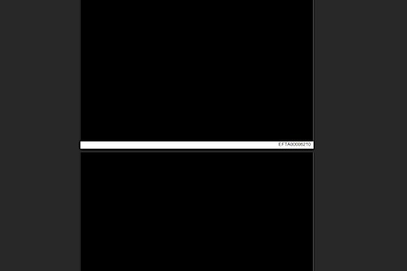 A 100-page document in the release, which has been entirely redacted.