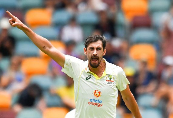 Mitchell Starc celebrates taking his 300th Test wicket during the Brisbane Test.