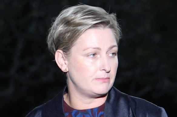 Amanda Camm has been under pressure over her relationship with fellow Crisafulli minister Tim Mander.