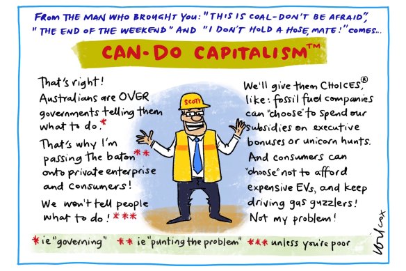 Illustration: Cathy Wilcox