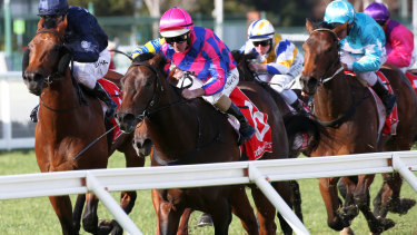 Flying machine: Tony Nicconi wins the Vain Stakes at Caulfield last year.