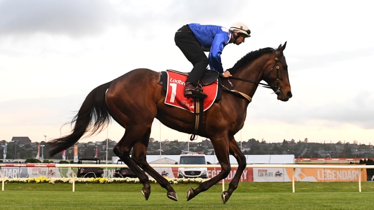 Jockey Hugh Bowman rides Winx at Moonee Valley on Tuesday ahead of Saturday's Cox Plate.