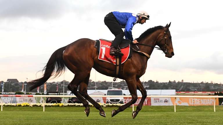 Winx at Moonee Valley.