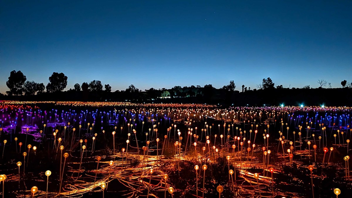 ‘Magical’ outback moment where even the stars were not the main event