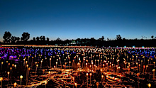 The Field of Light first came to life in 2016.