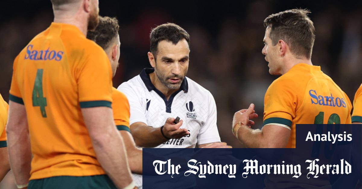 What the Wallabies can take from Bledisloe loss
