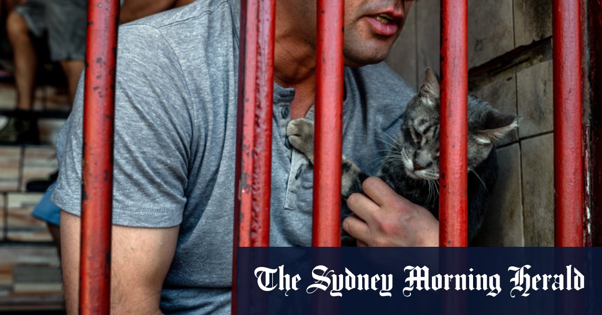 First cats took over this prison. Then they stole its prisoners’ hearts