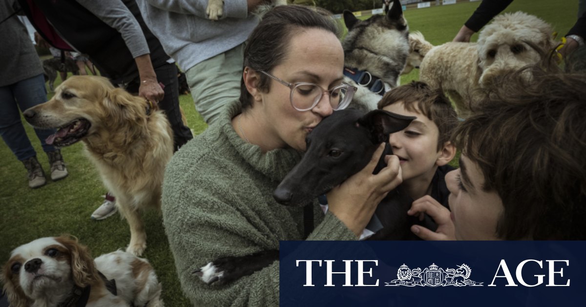 I St. Leonard fanno una lista dei desideri per il cane malato terminale, Artie