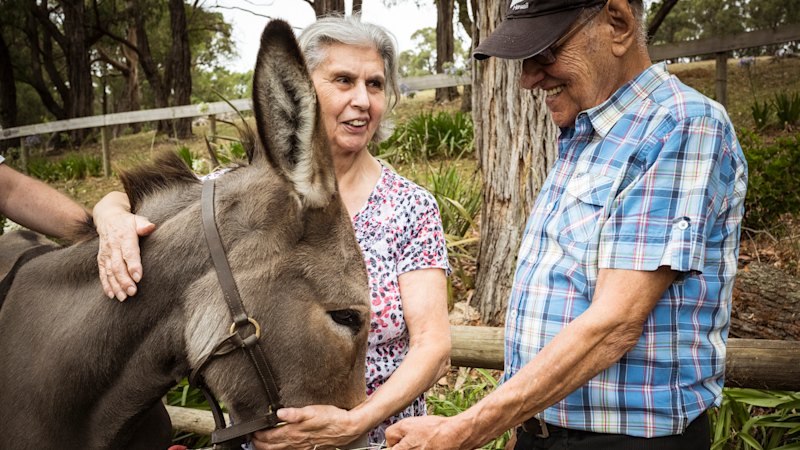 The ultimate present: New friends and lots of Cuddles